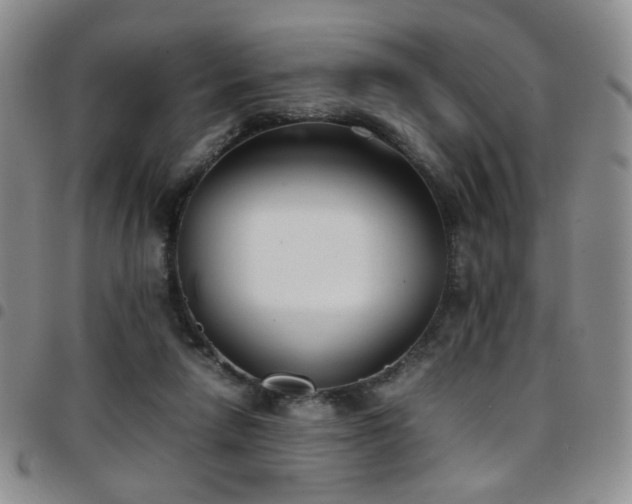 X0000097820258200803141147