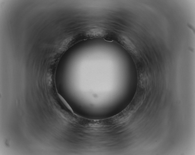 X0000097820259200803141147