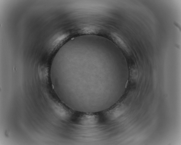 X0000097820260200803141147