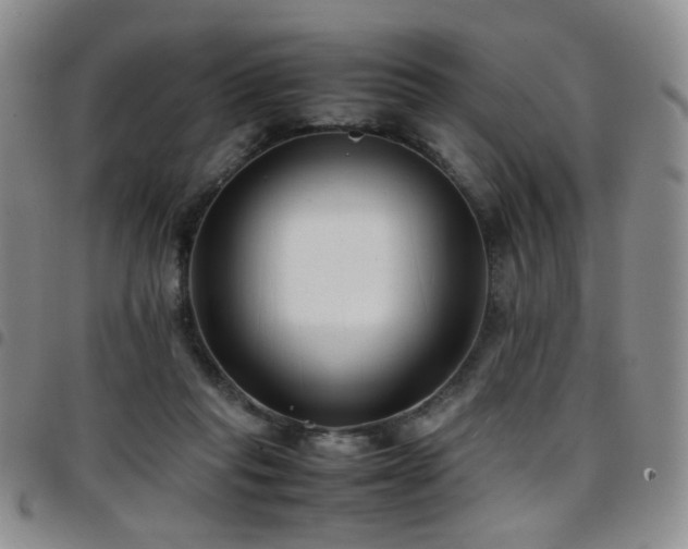 X0000097820261200803141147