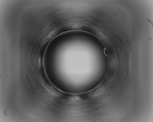 X0000097820262200803141147