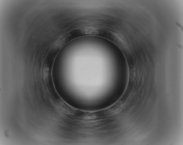 X0000097820263200803141147