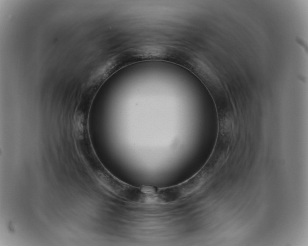 X0000097820264200803141147