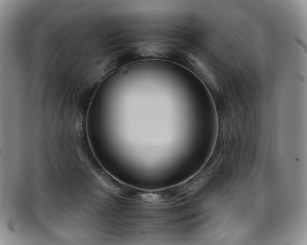 X0000097820265200803141147