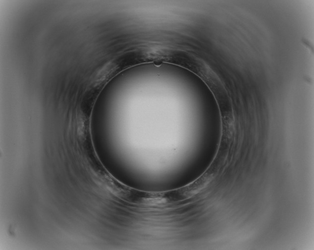 X0000097820266200803141147