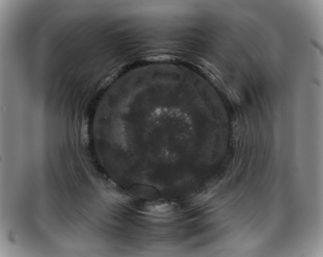 X0000097820267200803141147