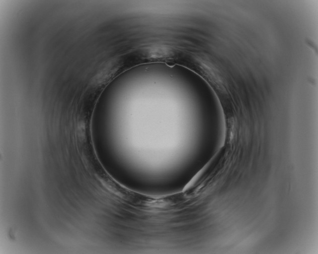 X0000097820269200803141147