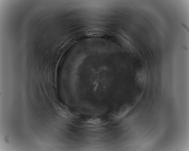 X0000097820271200803141147