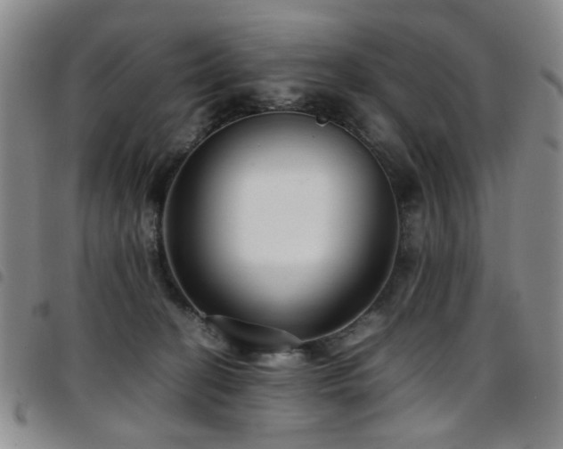 X0000097820274200803141147