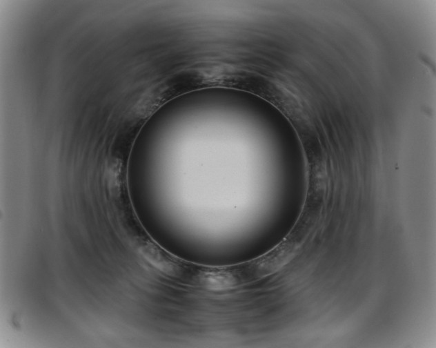 X0000097820275200803141147