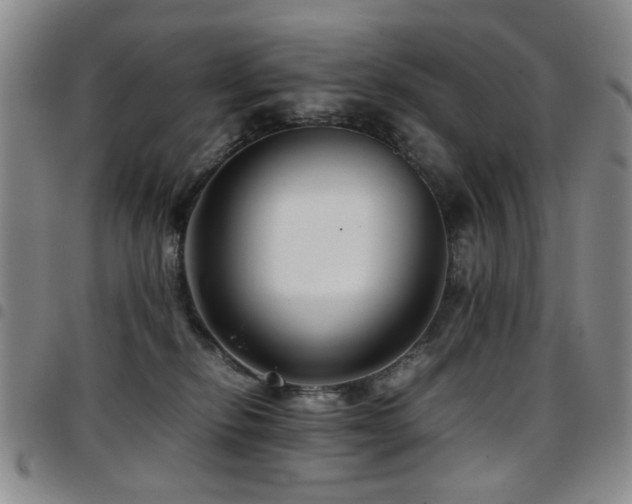 X0000097820278200803141147