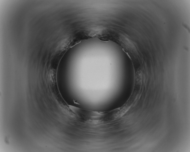 X0000097820280200803141147