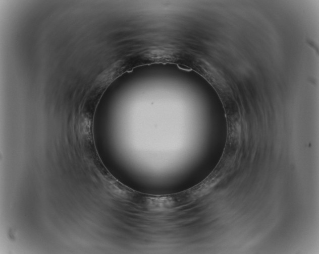 X0000097820281200803141147