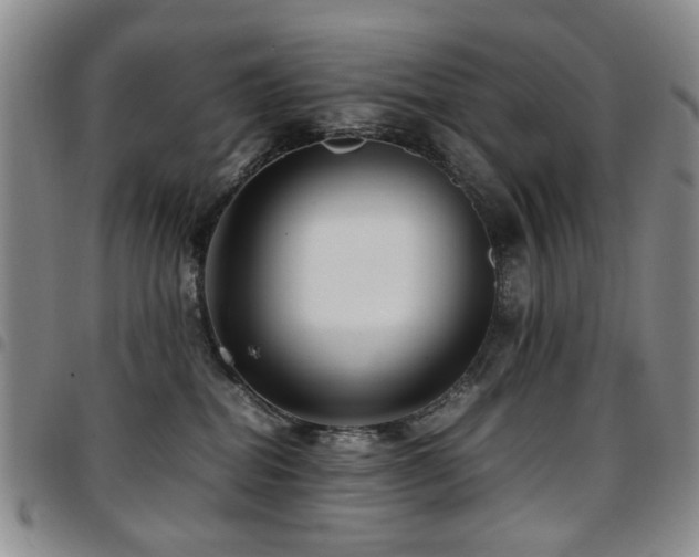 X0000097820282200803141147