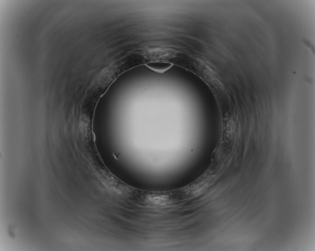 X0000097820283200803141147