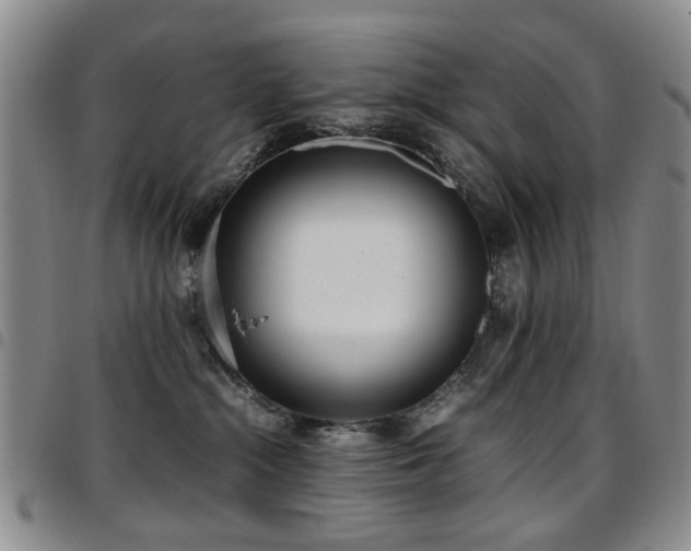 X0000097820284200803141147