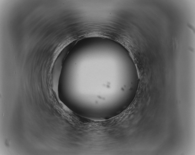 X0000097820289200803141147