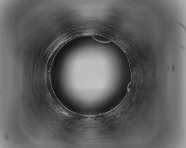 X0000097820290200803141147