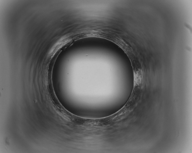 X0000097820291200803141147