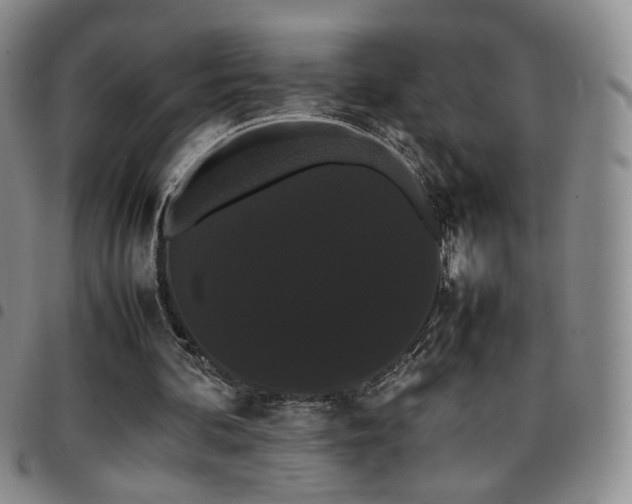 X0000097820292200803141147