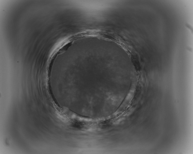 X0000097820293200803141147