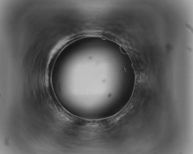 X0000097820294200803141146