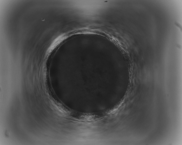 X0000097820295200803141146