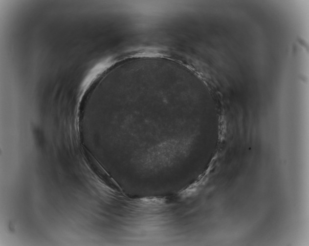 X0000097820296200803141146