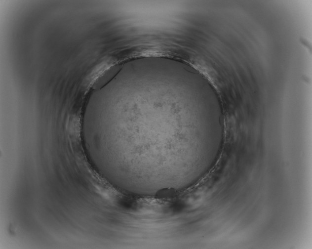 X0000097820297200803141146