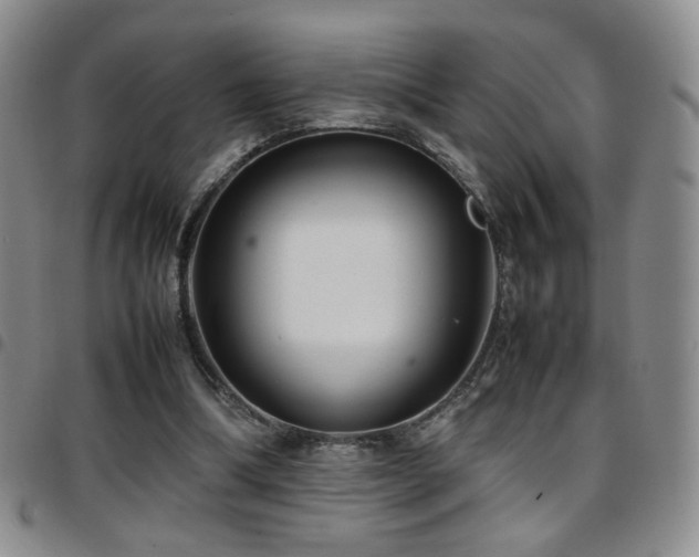 X0000097820298200803141146