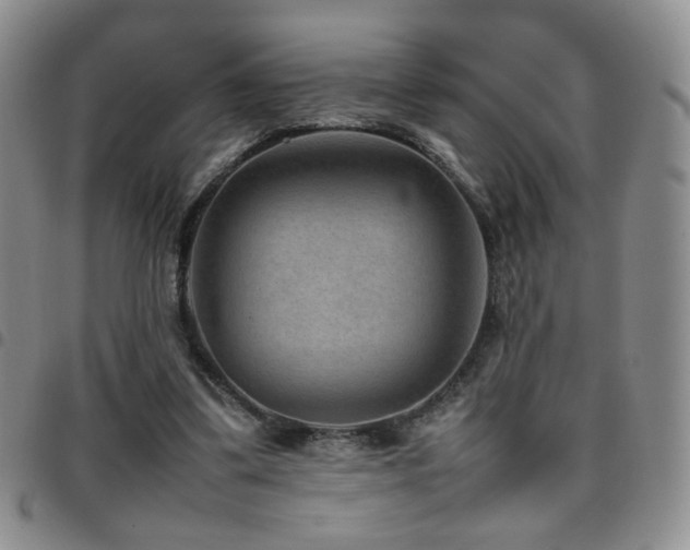 X0000097820299200803141146