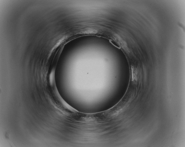 X0000097820300200803141146