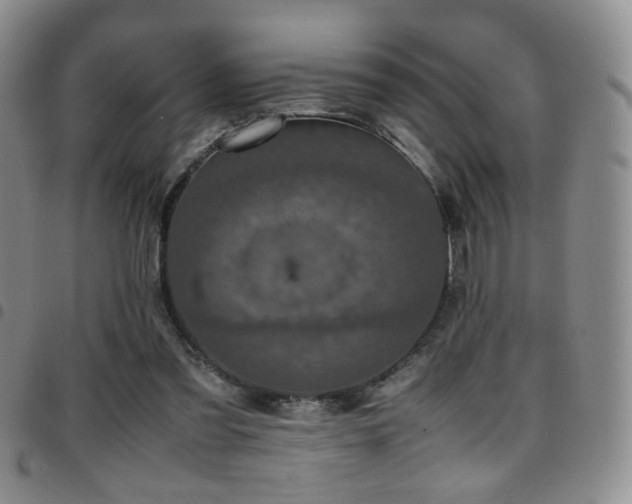 X0000097820301200803141146