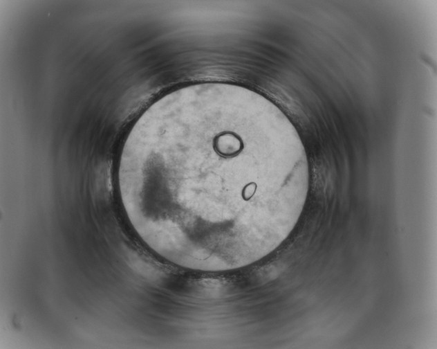 X0000097820302200803141146