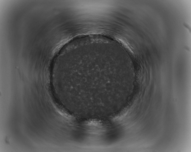 X0000097820303200803141146