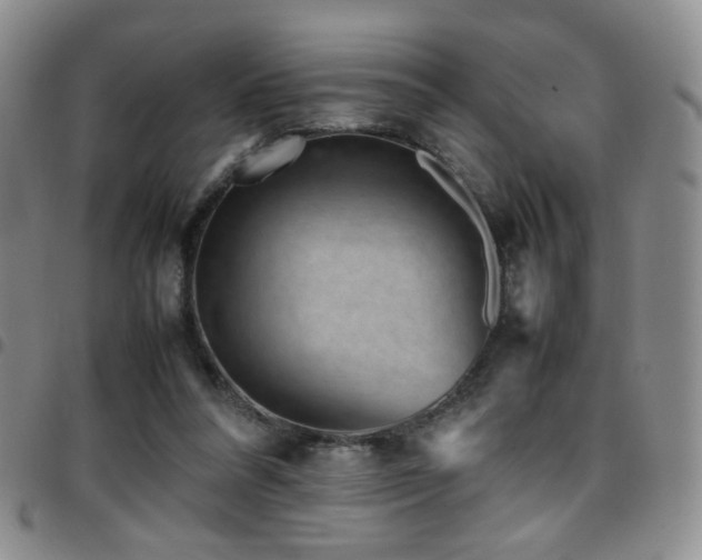 X0000097820304200803141146