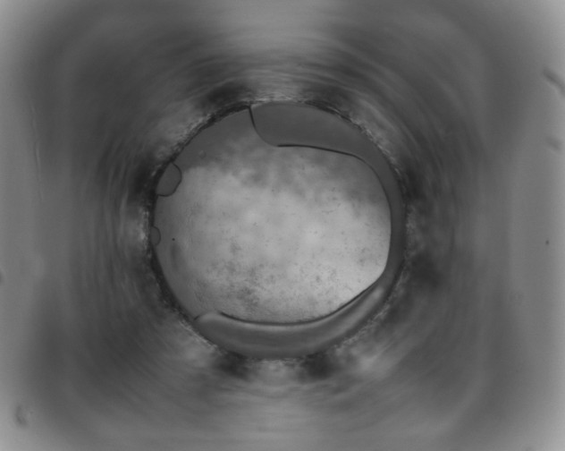 X0000097820305200803141146