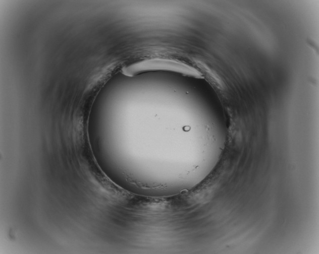 X0000097820306200803141146