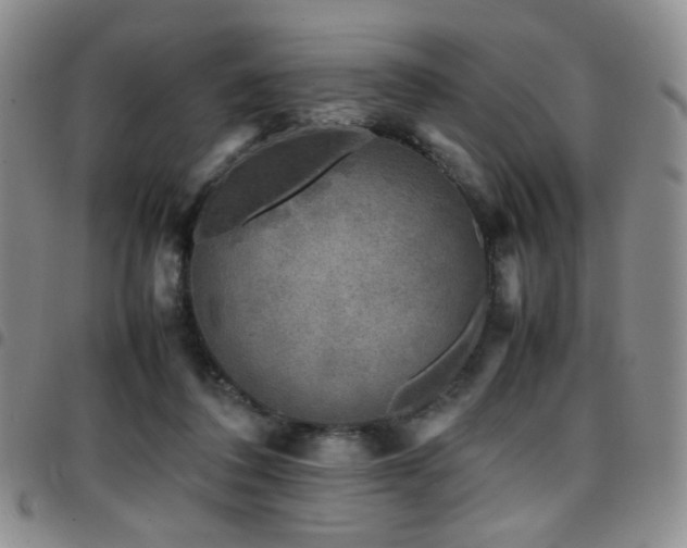 X0000097820308200803141146