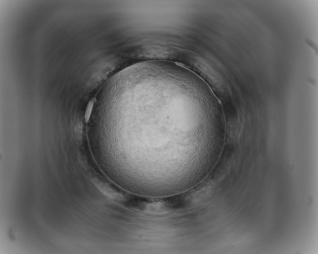 X0000097820309200803141146