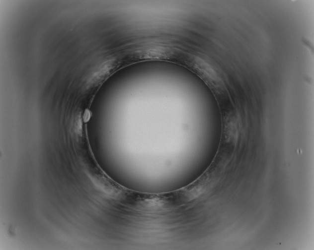 X0000097820310200803141146