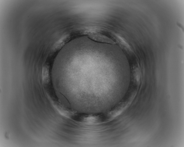 X0000097820312200803141146