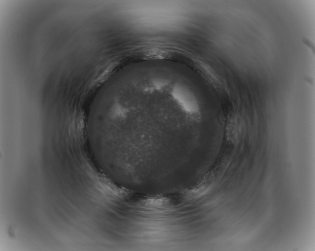 X0000097820314200803141146