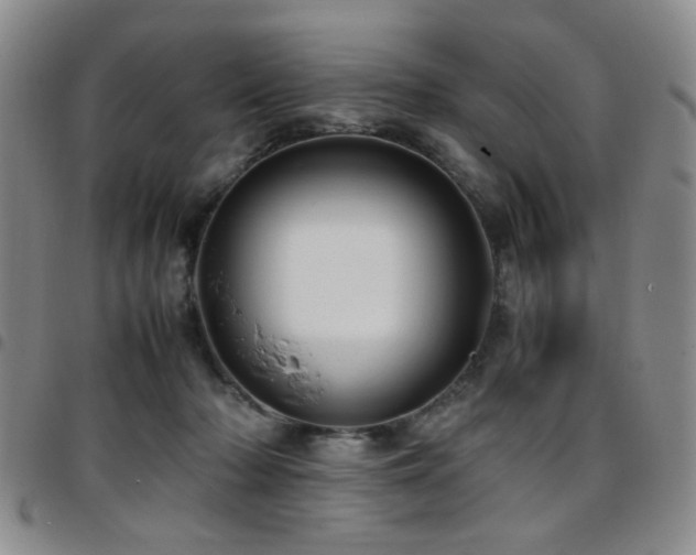 X0000097820318200803141146