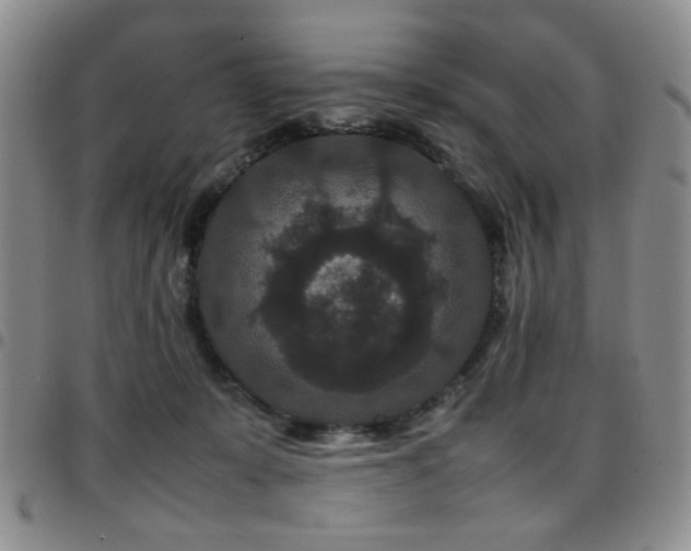 X0000097820319200803141146