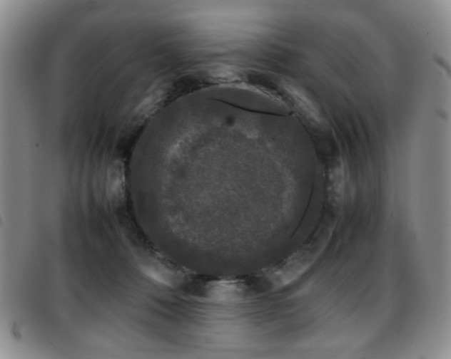 X0000097820320200803141146