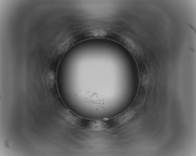 X0000097820321200803141146