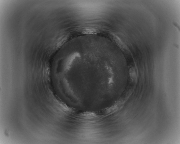 X0000097820322200803141146