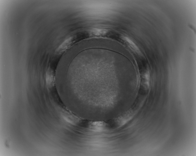 X0000097820324200803141146