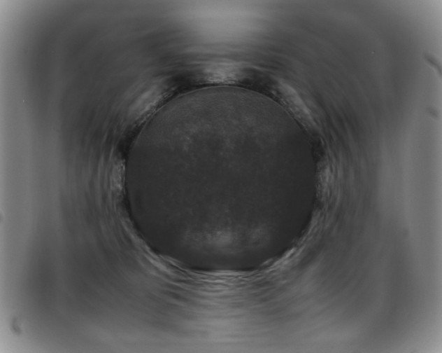 X0000097820325200803141146